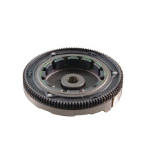 Volant d'inertie Briggs et Stratton - 691053 2