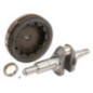 Volante de inercia Briggs y Stratton - 595094