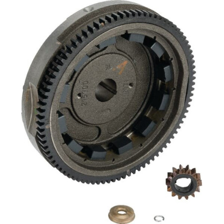 Volano Briggs e Stratton - 591759