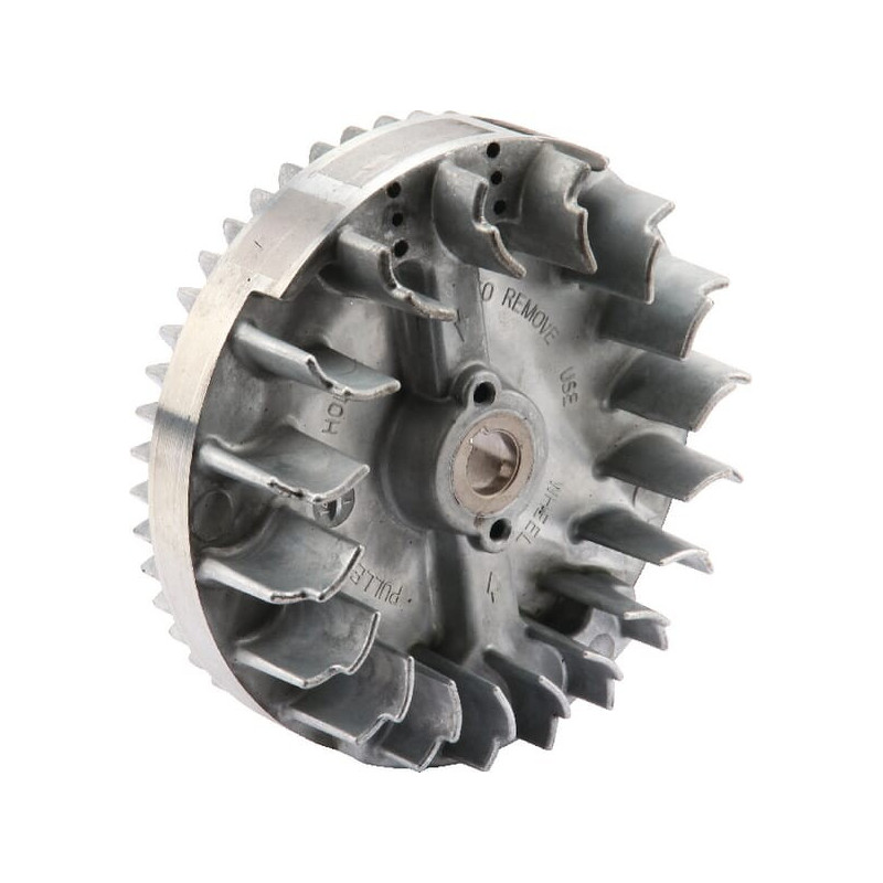 Schwungrad Briggs und Stratton - 591282