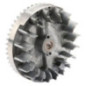 Schwungrad Briggs und Stratton - 591282