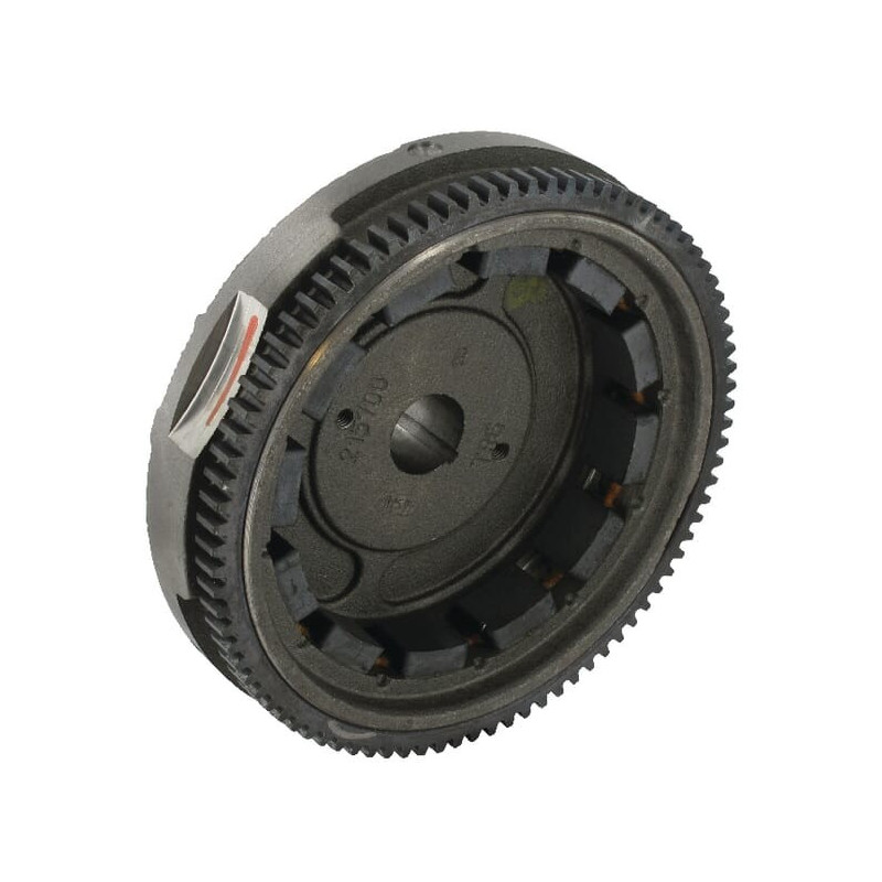 Schwungrad ab 07-2012 Briggs und Stratton - 591758