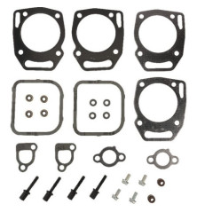 Ventildichtungssatz von Briggs und Stratton – 841191