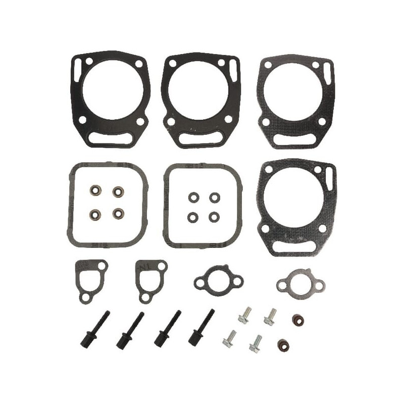 Ventildichtungssatz Briggs und Stratton - 841191