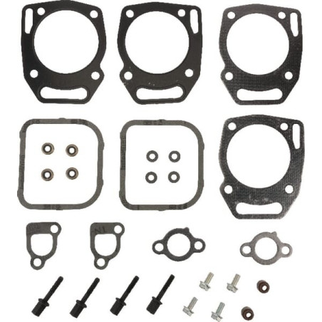 Kit joints soupapes Briggs et Stratton - 841191