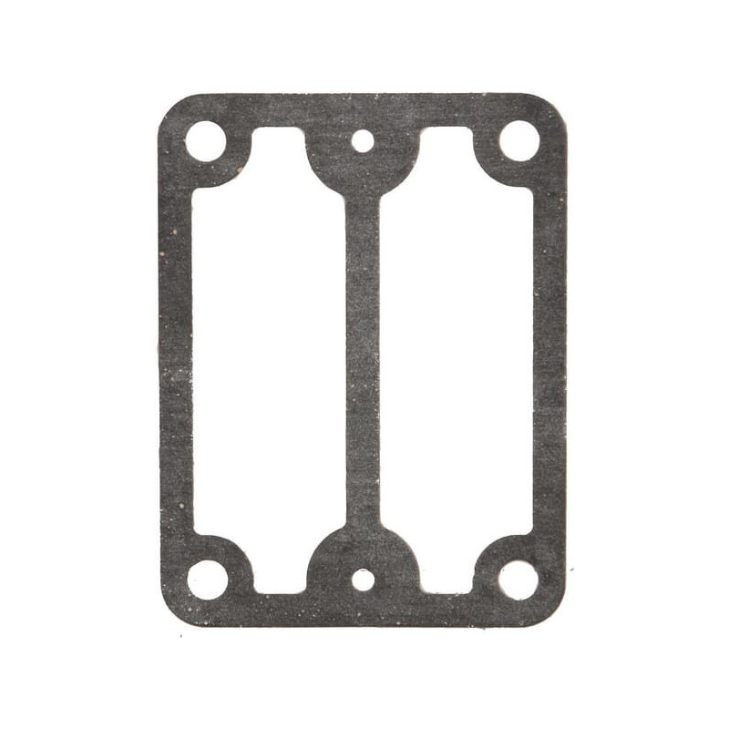 Joint de pompe Briggs et Stratton - 693490