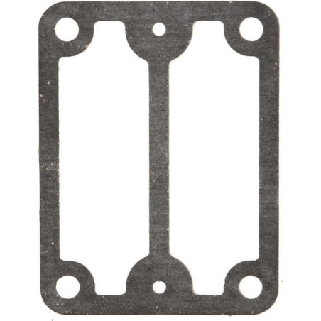 Joint de pompe Briggs et Stratton - 693490