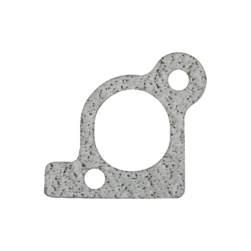 Briggs and Stratton Ansaugkrümmerdichtung – 806418