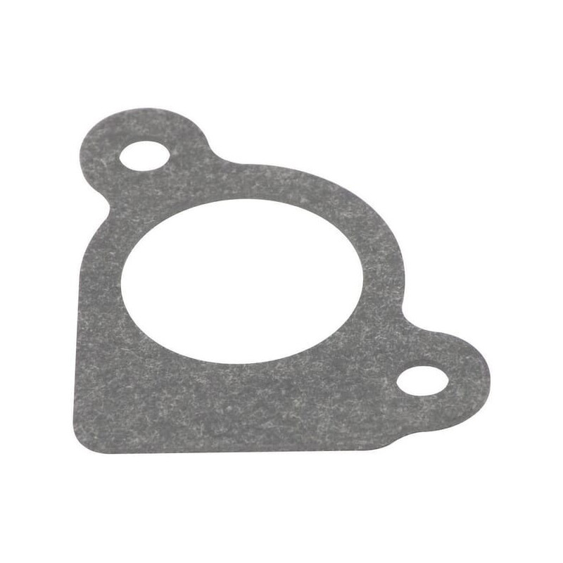 Briggs and Stratton Intake Gasket - 794306
