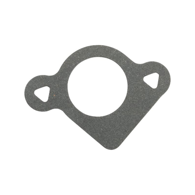 Briggs and Stratton Ansaugdichtung – 792389