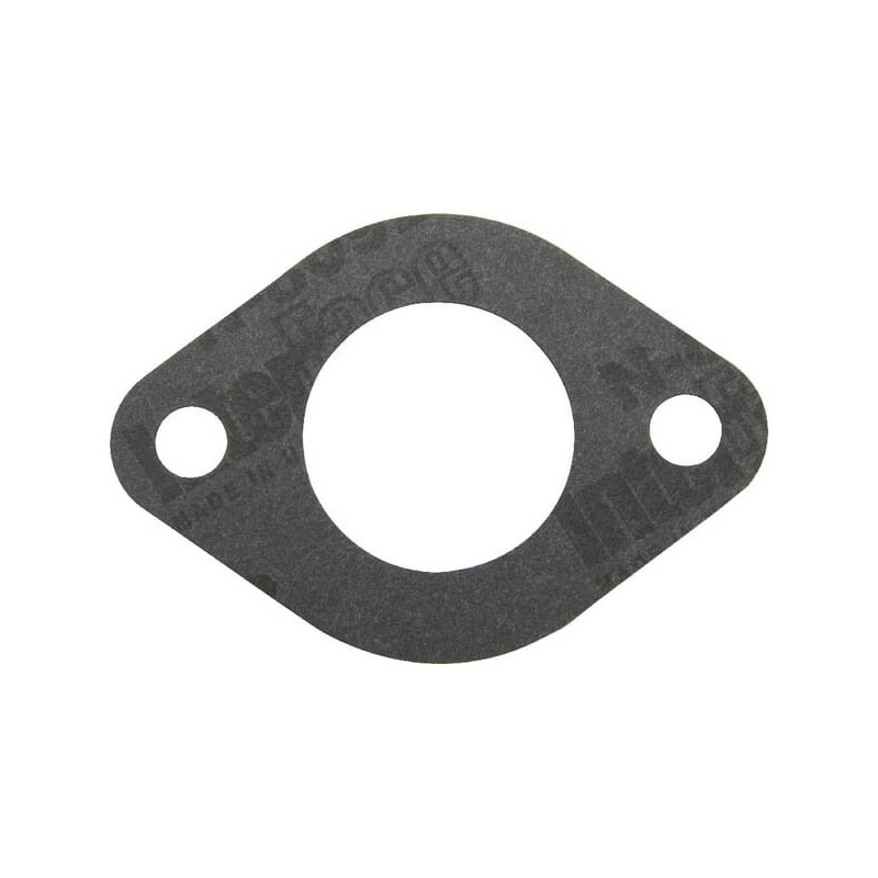 Inlaatpakking Briggs en Stratton - 699803