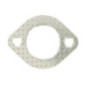 Exhaust side seal Briggs and Stratton - 793497