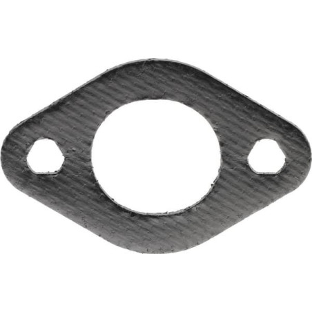 Joint Briggs et Stratton - 695398