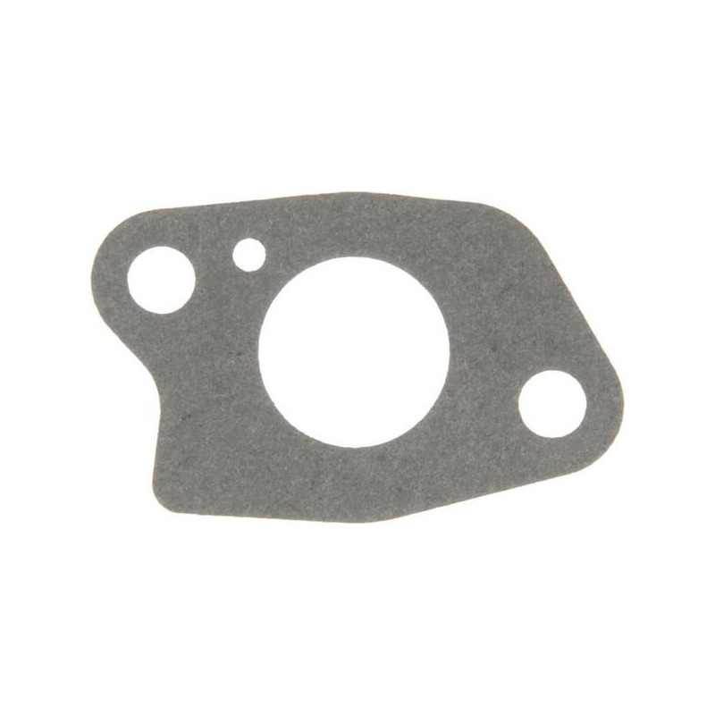 Junta Briggs y Stratton - 590613
