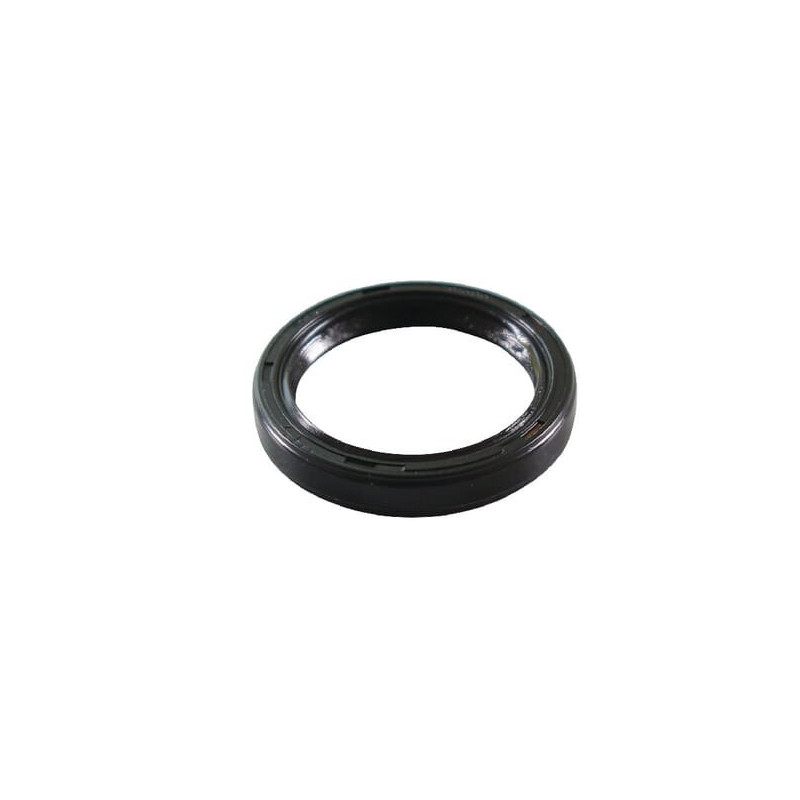 Joint Briggs et Stratton - 491500