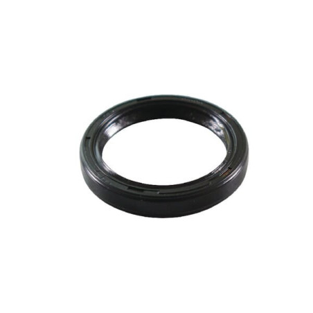 Joint Briggs et Stratton - 491500