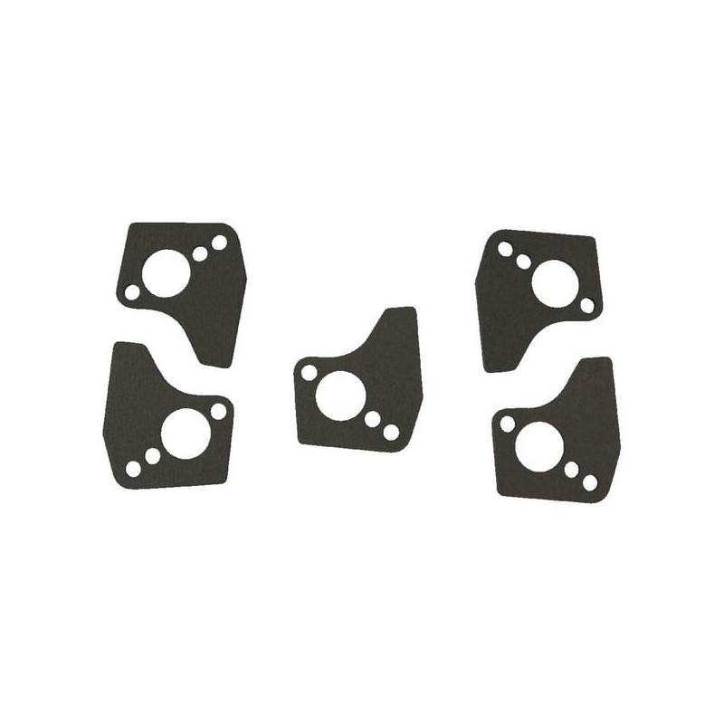 Briggs and Stratton Gasket - 4200