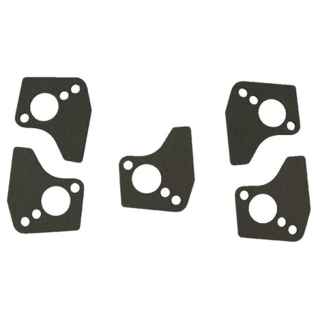 Briggs and Stratton gasket - 4200