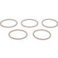 Guarnizione Briggs e Stratton - 593235