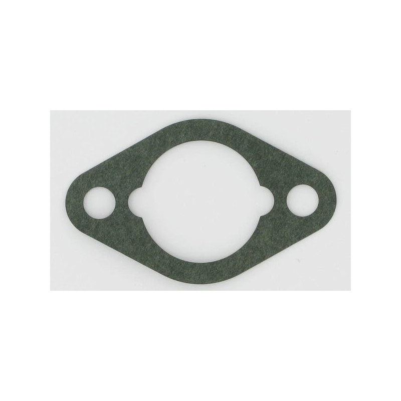 Guarnizione Briggs e Stratton - 710060