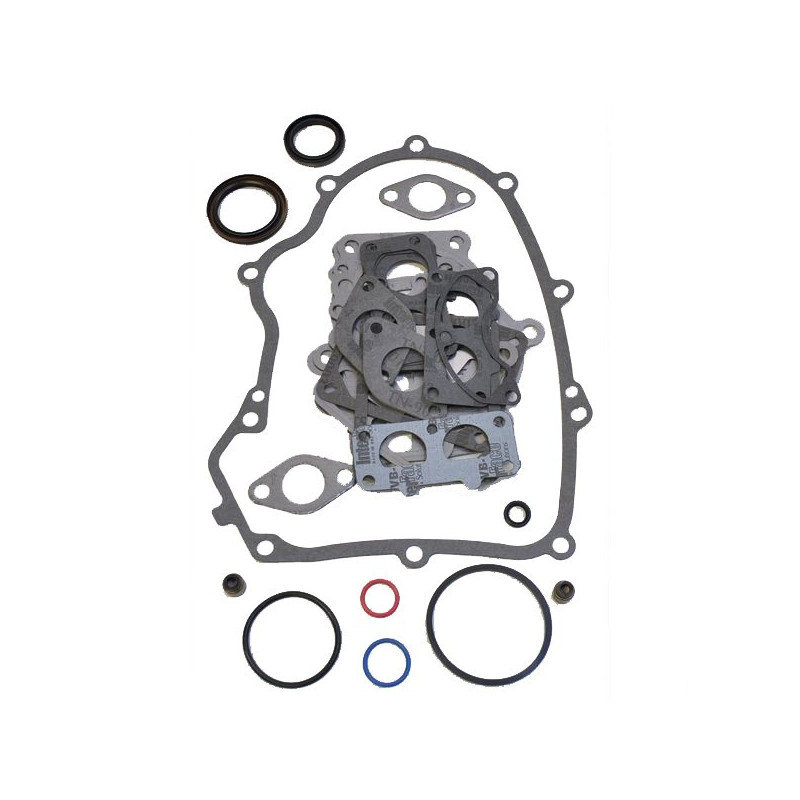 Motordichtungssatz Briggs und Stratton - 499889 - 694012
