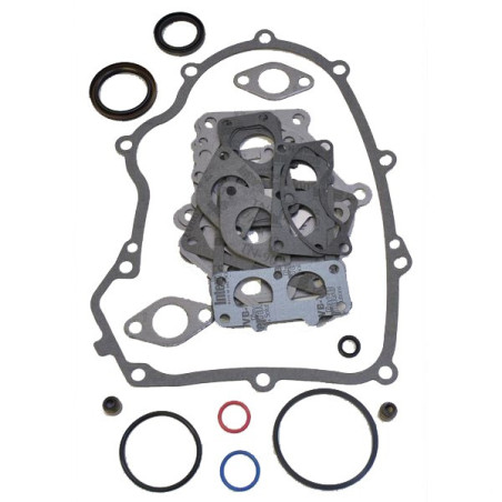 Motordichtungssatz von Briggs und Stratton – 499889 – 694012