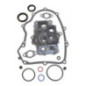 Motordichtungssatz Briggs und Stratton - 499889 - 694012