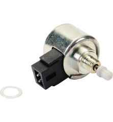 Relais anti-pétaradage Briggs et Stratton - 841546