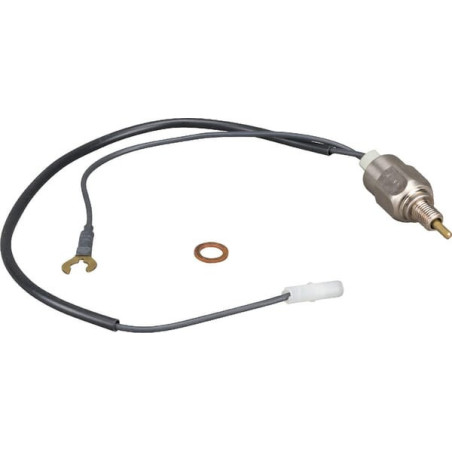 Briggs and Stratton Anti-Backlash-Relais – 809632