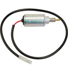 Relé antirretroceso Briggs and Stratton - 494312