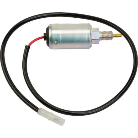 Relé antirretroceso Briggs and Stratton - 494312