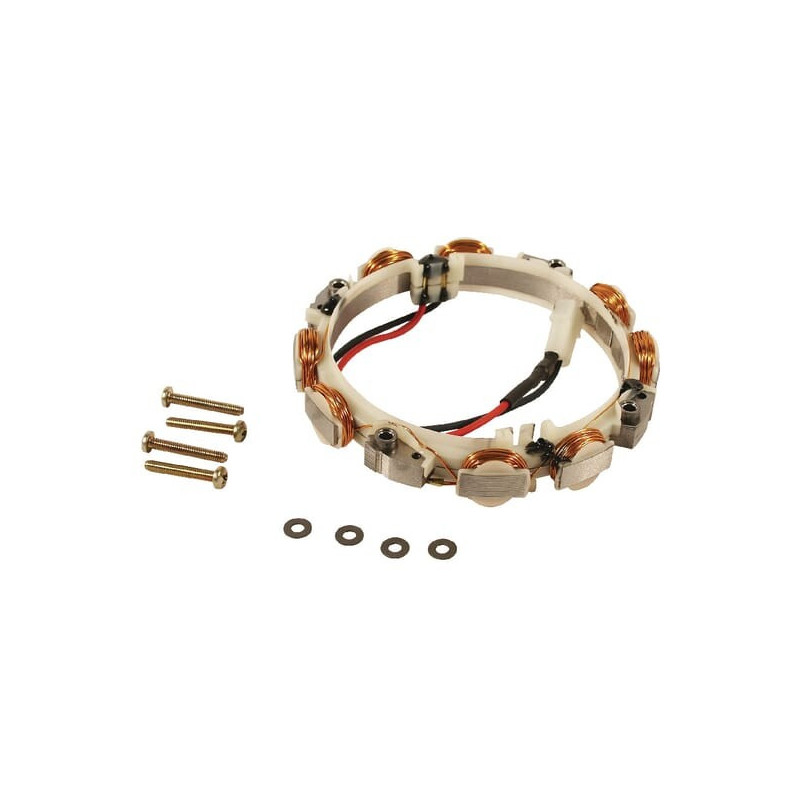 Lichtmaschine Briggs und Stratton - 695466