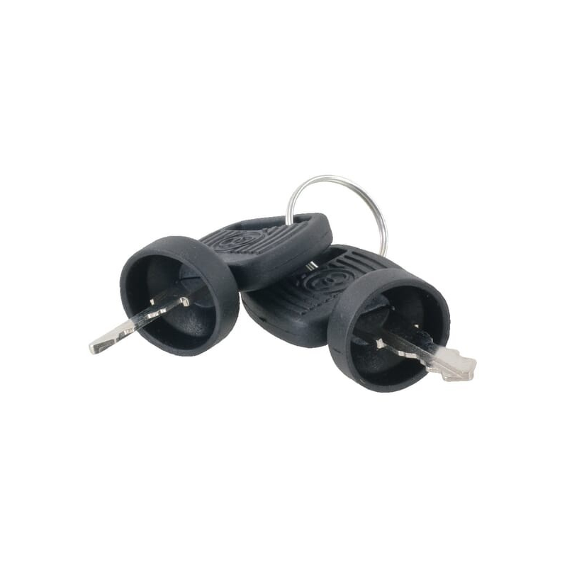 Key - ETESIA - Reference ET29534