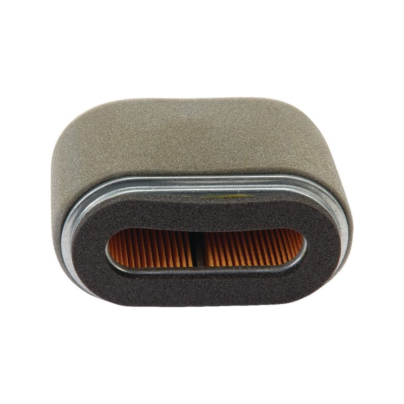 Air filter - ETESIA - Reference ET18707