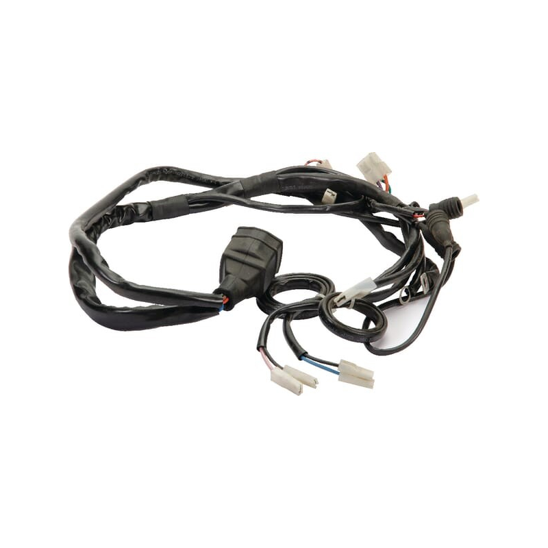 Engine Harness - ETESIA - Reference ET29876