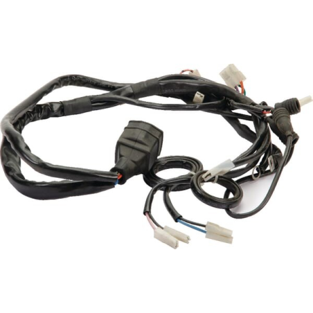 Engine harness - ETESIA - Reference ET29876