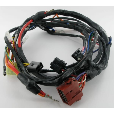Harness - ETESIA - Reference ET28474