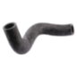 Hose - ETESIA - Reference ET31742