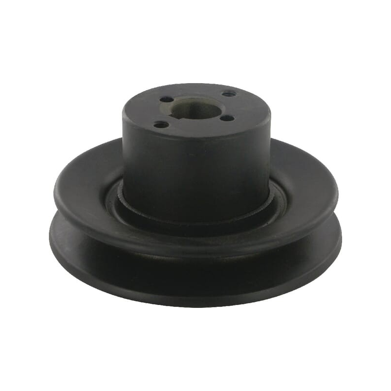 Pulley - ETESIA - Reference ET25638