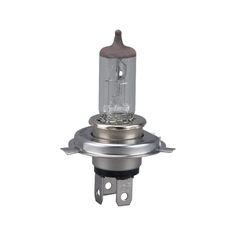 Light bulb - ETESIA - Reference ET30638