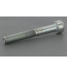 Screw - ETESIA - Reference ET71342