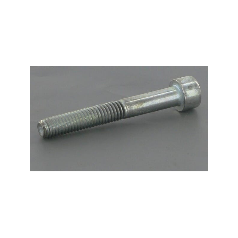 Screw - ETESIA - Reference ET71342