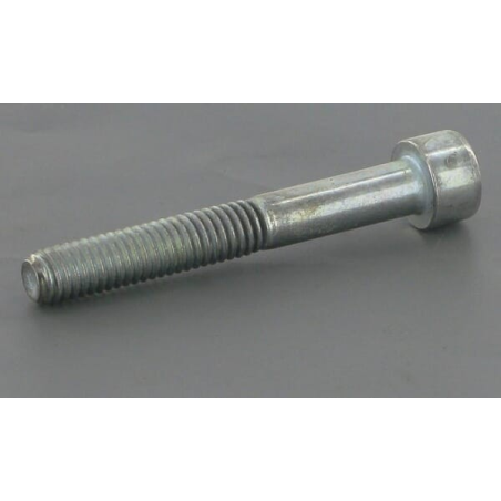 Parafuso - ETESIA - Referência ET71342