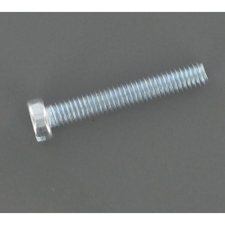 Screw - ETESIA - Reference ET71283