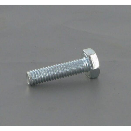 Screw - ETESIA - Reference ET71209