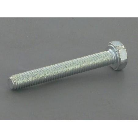 Screw - ETESIA - Reference ET5486