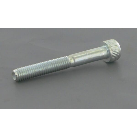 Screw - ETESIA - Reference ET5399
