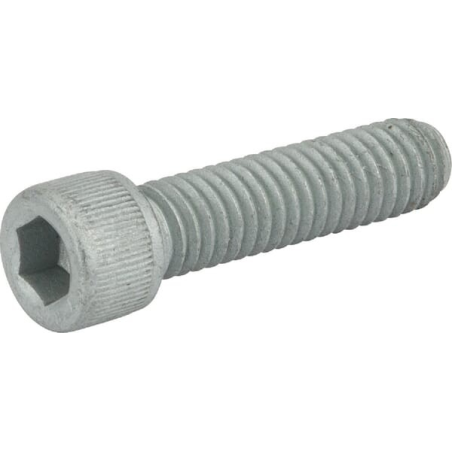 Screw - ETESIA - Reference ET37523