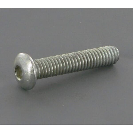 Screw - ETESIA - Reference ET37072