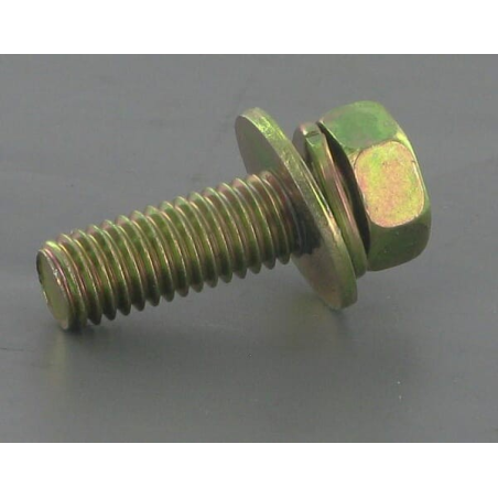 Screw - ETESIA - Reference ET27895